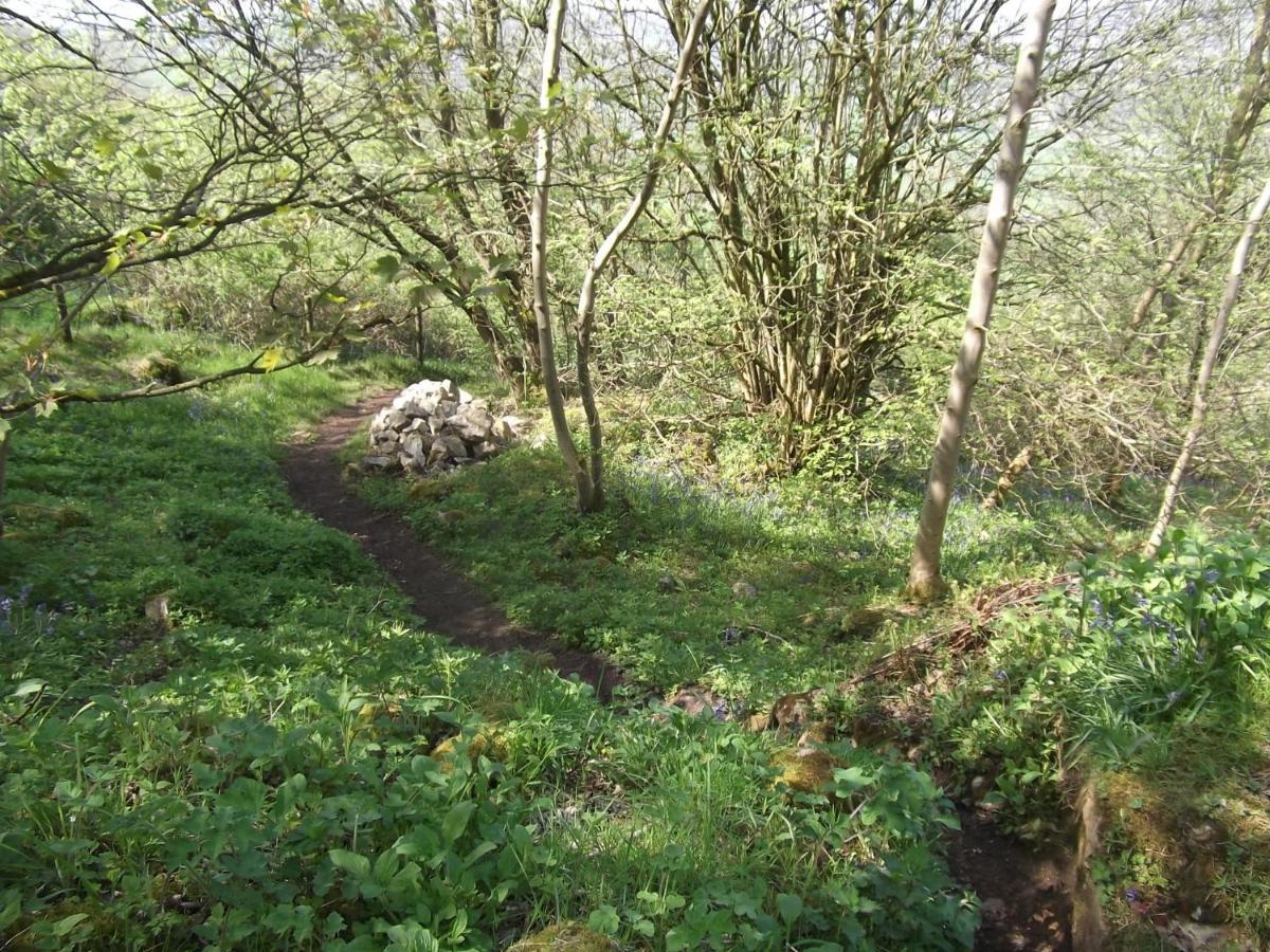 Hall Dale View Near Matlock & Peak District Экстерьер фото